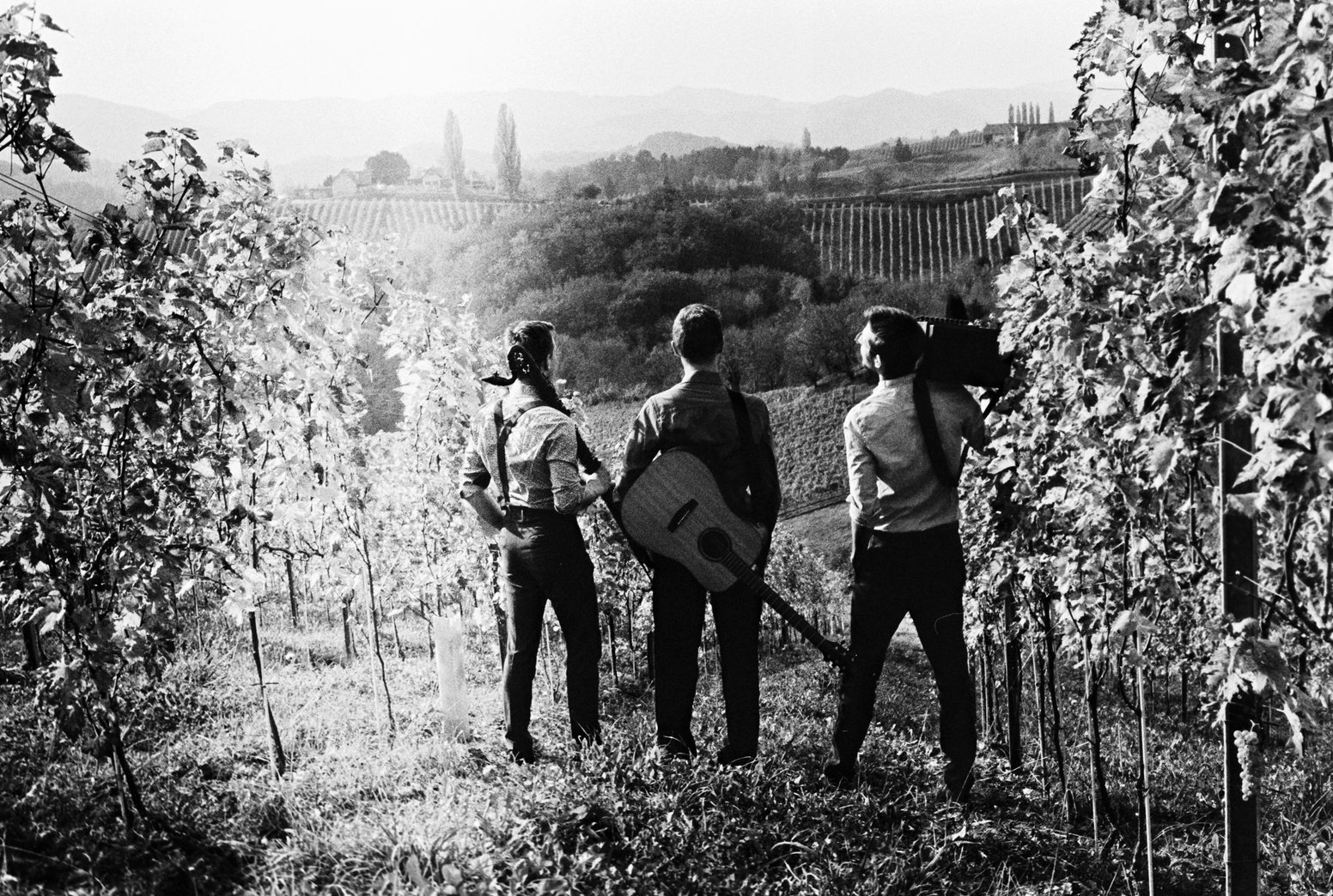 Sturm & Klang von hinten im Weinberg: drei Musiker mit Gitarre und Steirischer Harmonika blicken über die Weinberge, Schwarzweiß-Foto.